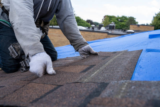 Best Roof Gutter Cleaning  in Cuthbert, GA
